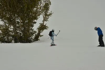 DSC_6734 (Large).JPG